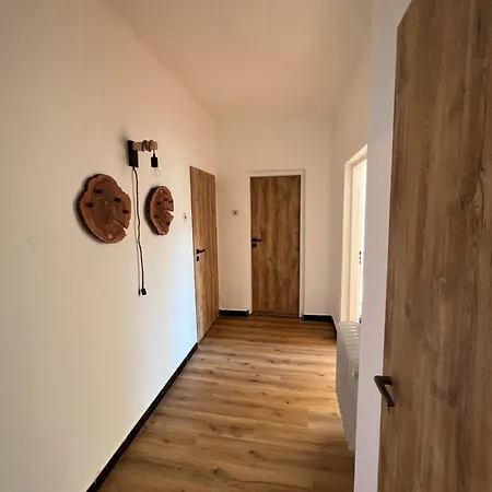 Veseli Apartment *